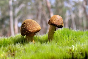 世界篮球友谊赛：国际热身赛测试战术边界，篮球世界友谊赛排名